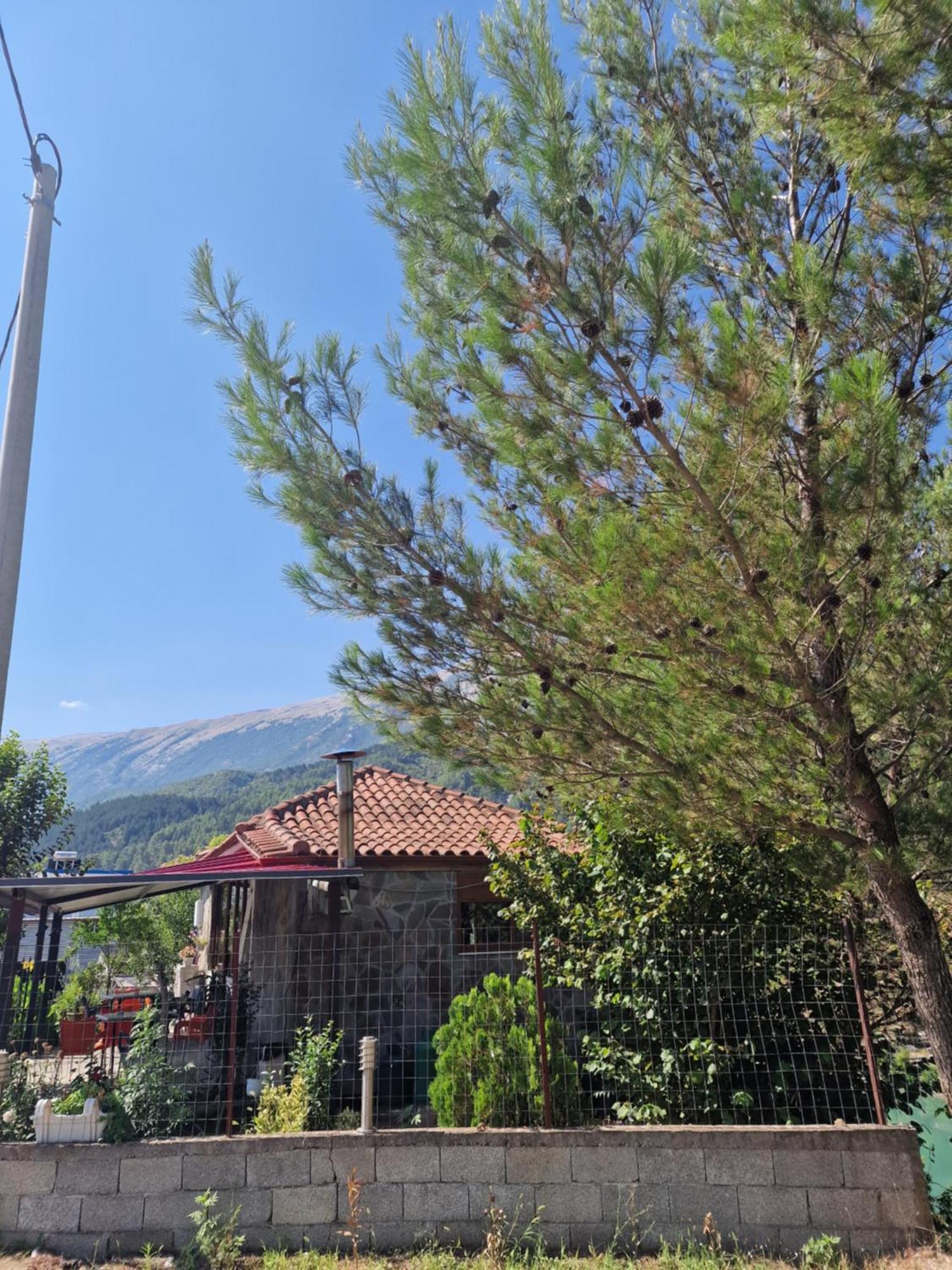 Guest House Krishen Përmet 外观 照片